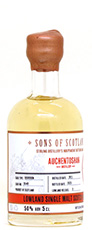 Sons of Scotland aucheentochan